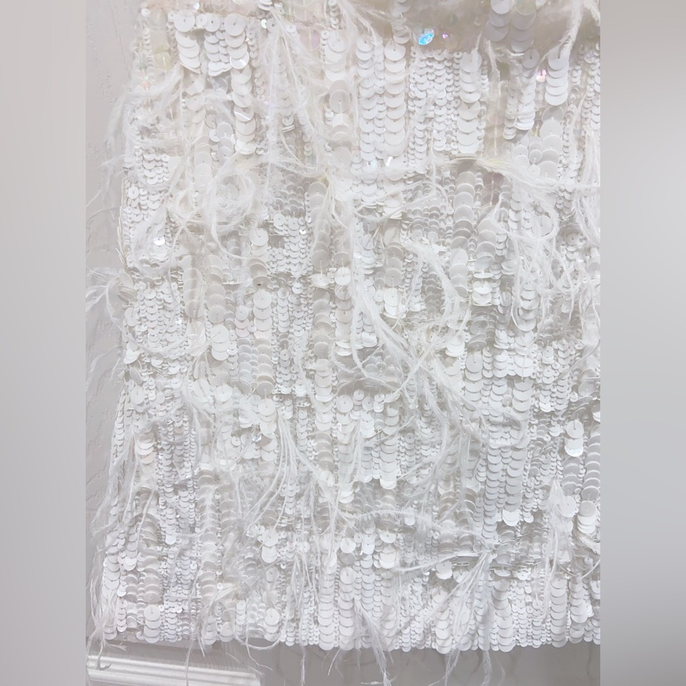 NWT Retrofete Anastasia Sequin Feather Dress - Picture 15 of 16